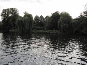 IMG_0947