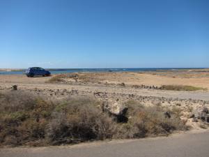 Fuerteventura Corralejo 2010 IMG_1801