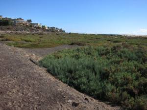 Fuerteventura Jandia Playa 2012 IMG_1839