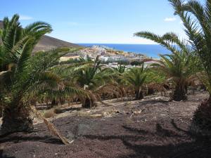 Fuerteventura Jandia Playa 2012 IMG_1859