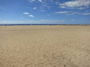 Fuerteventura Jandia Playa 2012 IMG_1877