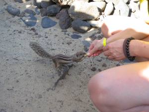 Fuerteventura Jandia Playa 2012 IMG_2046