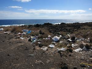 Lanzarote Kanarische Inseln 2013 IMG_5586