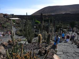 Lanzarote Kanarische Inseln 2013 IMG_5877