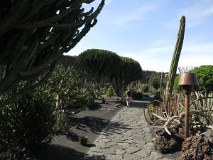 Lanzarote Kanarische Inseln 2013 IMG_5887