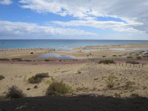 Fuerteventura Kanarische Inseln 2014 IMG_1492
