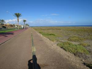 Fuerteventura Kanarische Inseln 2014 IMG_1502