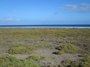 Fuerteventura Kanarische Inseln 2014 IMG_1503