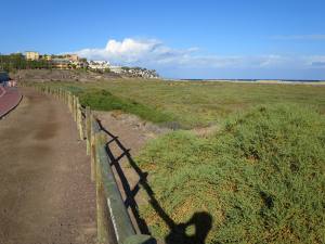 Fuerteventura Kanarische Inseln 2014 IMG_1506