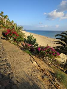 Fuerteventura Kanarische Inseln 2014 IMG_1529