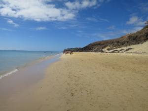 Fuerteventura Kanarische Inseln 2014 IMG_1554