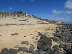 Fuerteventura Kanarische Inseln 2014 IMG_1557