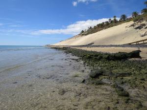 Fuerteventura Kanarische Inseln 2014 IMG_1562