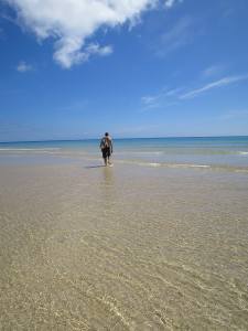 Fuerteventura Kanarische Inseln 2014 IMG_1565