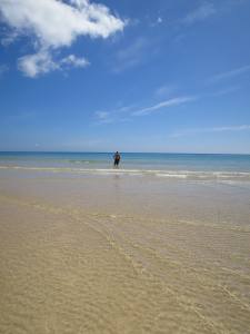 Fuerteventura Kanarische Inseln 2014 IMG_1571