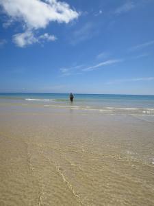 Fuerteventura Kanarische Inseln 2014 IMG_1572