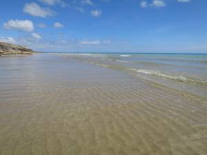 Fuerteventura Kanarische Inseln 2014 IMG_1575