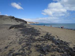 Fuerteventura Kanarische Inseln 2014 IMG_1578