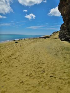 Fuerteventura Kanarische Inseln 2014 IMG_1584