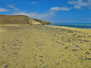 Fuerteventura Kanarische Inseln 2014 IMG_1591