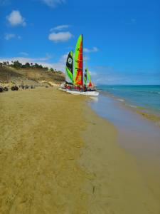 Fuerteventura Kanarische Inseln 2014 IMG_1595