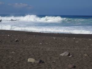 Fuerteventura Kanarische Inseln 2014 IMG_1642