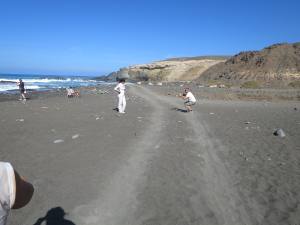 Fuerteventura Kanarische Inseln 2014 IMG_1658