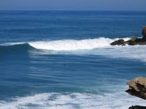 Fuerteventura Kanarische Inseln 2014 IMG_1672