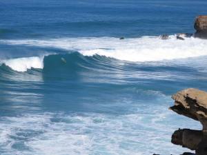 Fuerteventura Kanarische Inseln 2014 IMG_1673