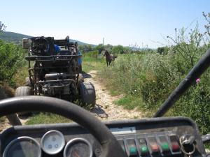 Holidays Golden Sands Bulgaria 2015 IMG_4078