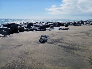 Holidays Kanarische Insel Lanzarote 2015 IMG_5852