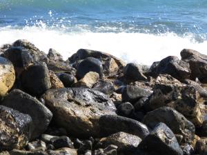 Holidays Kanarische Insel Lanzarote 2015 IMG_5858