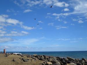 Holidays Kanarische Insel Lanzarote 2015 IMG_5920