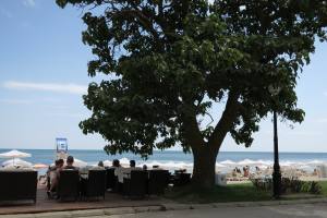 Ferien am Goldstrand in Bulgarien 2016 IMG_1293