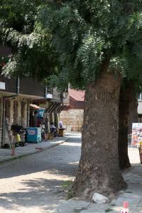 Ferien am Goldstrand in Bulgarien 2016 IMG_1456