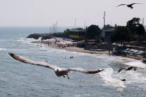 Ferien am Goldstrand in Bulgarien 2016 IMG_1512