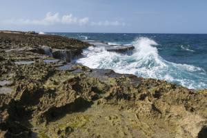 Curacao - Dutch Caribbean 2017 IMG_4246