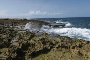 Curacao - Dutch Caribbean 2017 IMG_4247