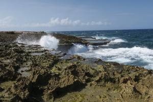 Curacao - Dutch Caribbean 2017 IMG_4250