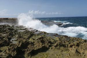 Curacao - Dutch Caribbean 2017 IMG_4252