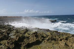 Curacao - Dutch Caribbean 2017 IMG_4261