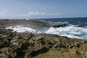 Curacao - Dutch Caribbean 2017 IMG_4262