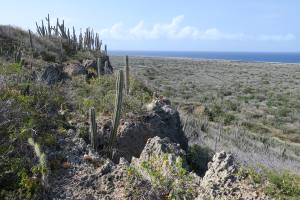 Curacao - Dutch Caribbean 2017 IMG_4285