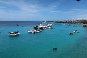 Curacao Dutch Caribbean 2018 IMG_6441