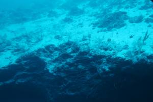 Curacao Dutch Caribbean 2018 IMG_6525