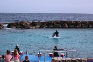 Curacao Dutch Caribbean 2018 IMG_6729