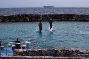 Curacao Dutch Caribbean 2018 IMG_6750