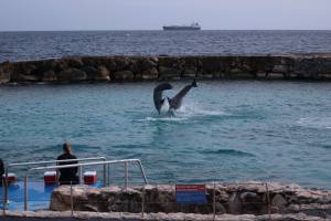 Curacao Dutch Caribbean 2018 IMG_6754