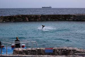 Curacao Dutch Caribbean 2018 IMG_6755