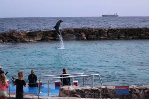 Curacao Dutch Caribbean 2018 IMG_6759